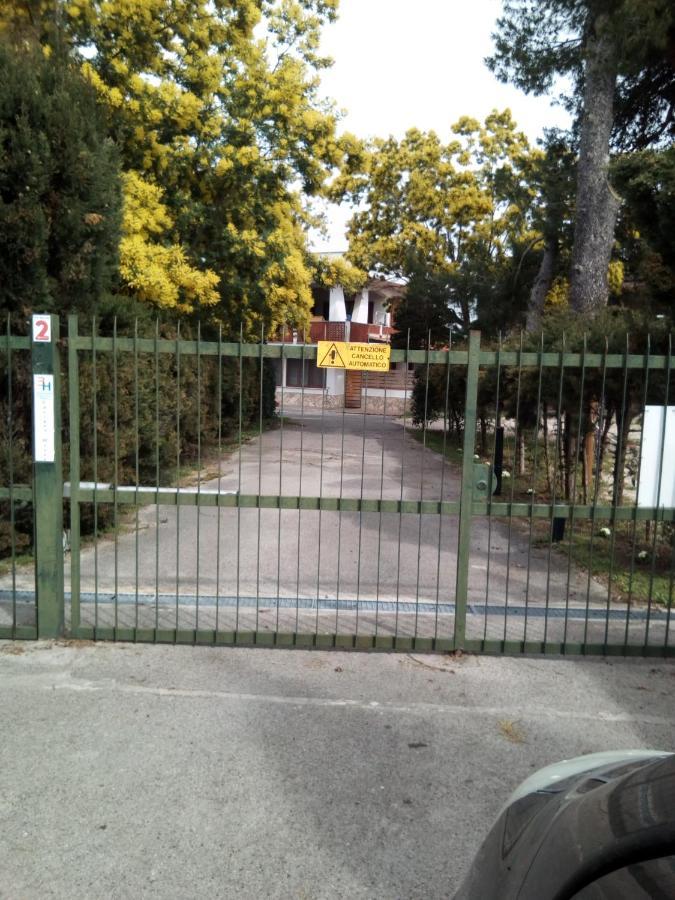 Ferienhaus Edvige's House *