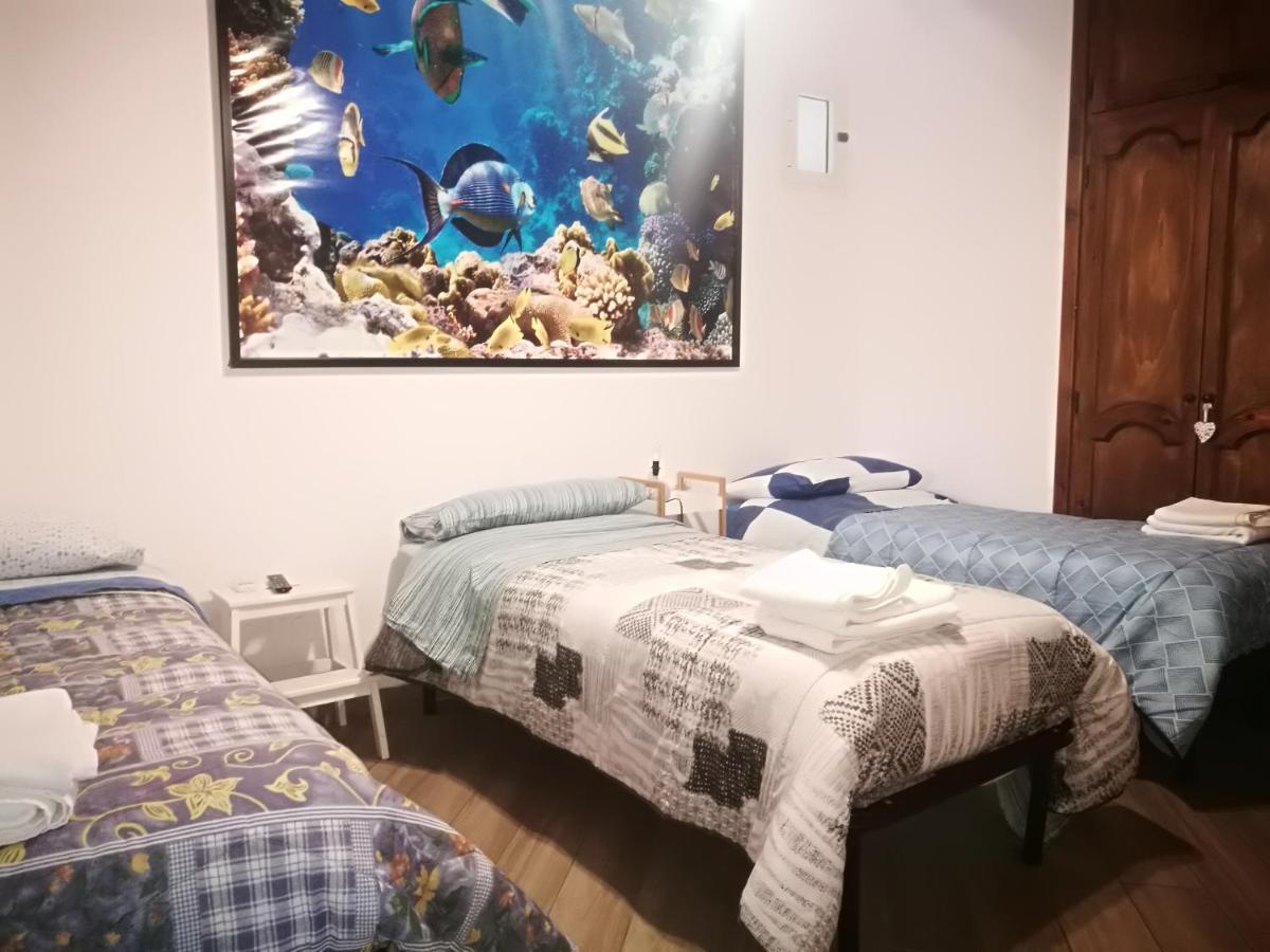 Edvige's House